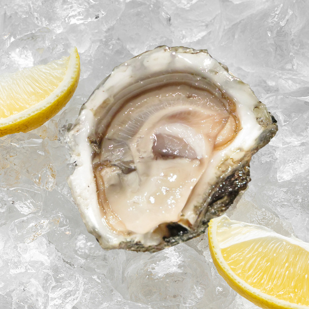 Устрица Муроцу M