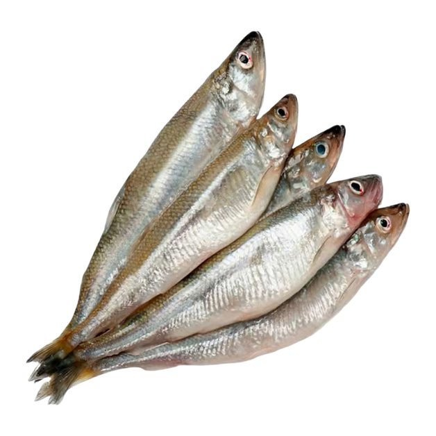 Корюшка Азиатская Зубастая Замороженная S 22кг