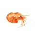 Креветки Гребенчатые Ботан Неразделанные с/м 19/24 2кг