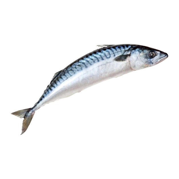 Скумбрия Неразделанная Замороженная Корея 300-500г 20кг