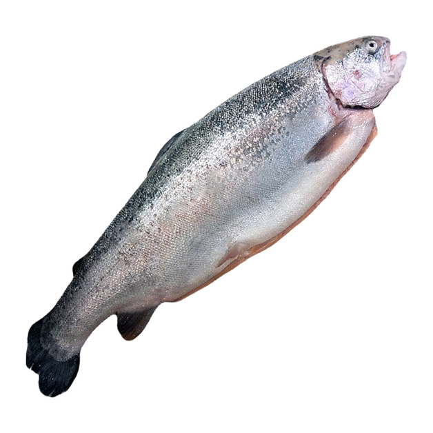 Форель Потрошеная с Головой Охлажденная Мурманск 1-2кг