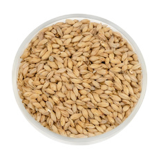 Солод Ячменный Венский Премиум 10кг