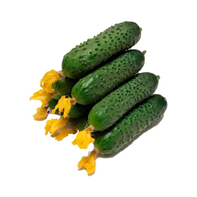 Огурцы Короткоплодные