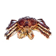 Краб Камчатский 2-3,5кг