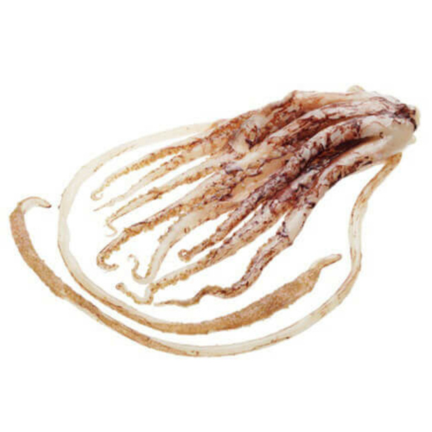 Щупальца кальмара ~ 22,5 кг