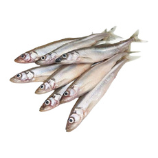 Мойва Атлантическая Неразделанная Замороженная 25-35р 26кг