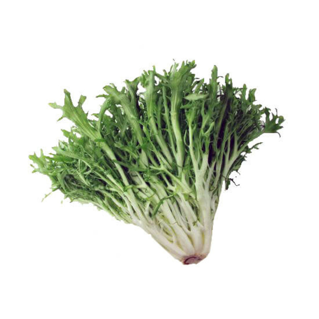 Салат Фризе (Фриссе) кг