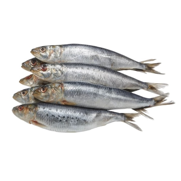 Сардина Иваси Тихоокеанская Свежемороженая 80г+ 19кг