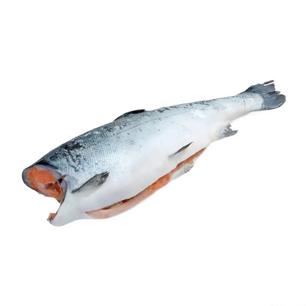 Кижуч Потрошеный без Головы Свежемороженый 1 Сорт 1,8-2,5кг 20кг