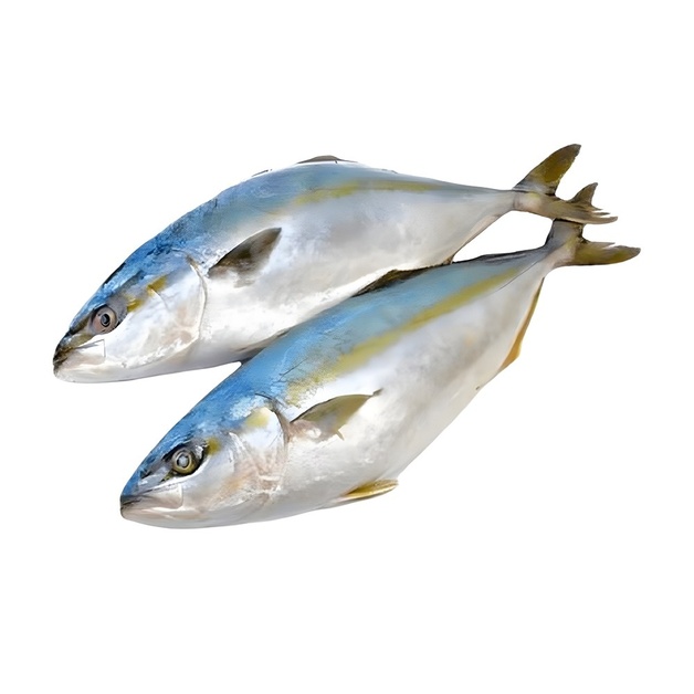 Лакедра Желтохвостая Непотрошеная с Головой с/м 0,8-1,3кг