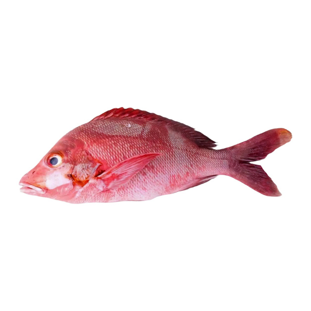 Окунь Морской Тушка Охлажденный 5кг