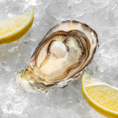 Устрица Живая Жилардо №3