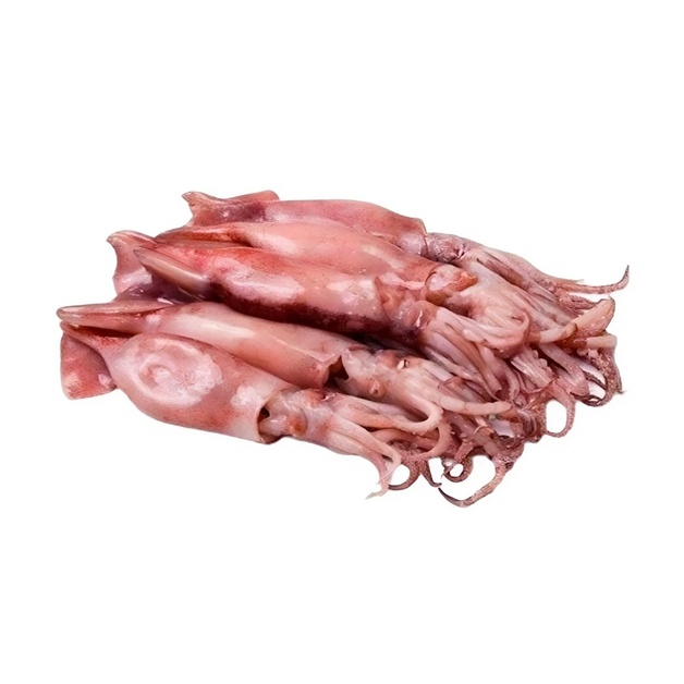 Кальмар Лолиго Целый Замороженный 8-11см 1кг