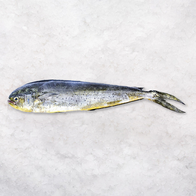 Махи-Махи Непотрошеная Свежемороженая 1-2кг