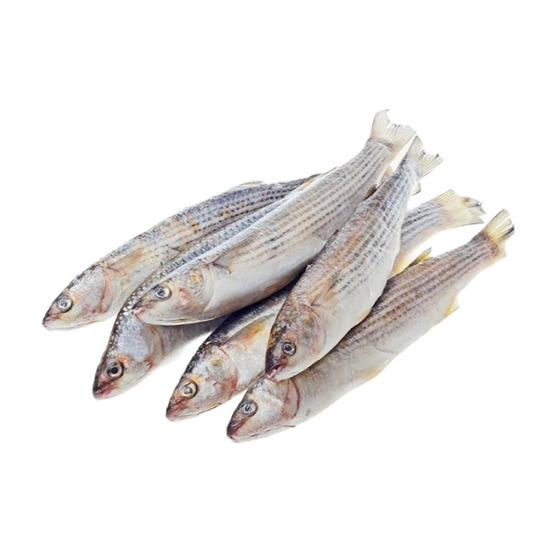 Кефаль Неразделанная Замороженная 700+ 20кг