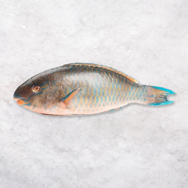 Рыба-Попугай Непотрошеная Свежемороженая 1-2кг