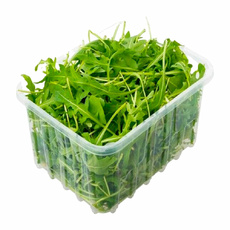 Руккола Импортная 125г*