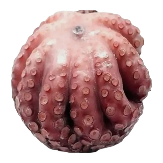 Осьминог Цветок Марокко Замороженный 3-4кг