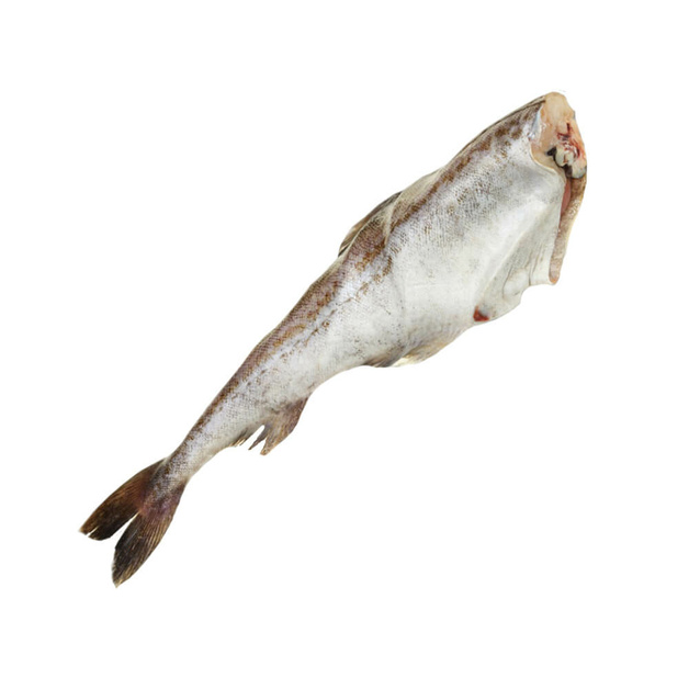 Треска с/м б/г потрошеная инидвидуальной заморозки 10кг