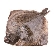 Тюрбо Целая Непотрошеная Свежемороженая 0,5-1кг