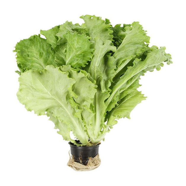 Салат Афицион в Горшочке