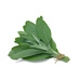Шалфей свежий вес. - кг Шалфей свежий вес. - кг