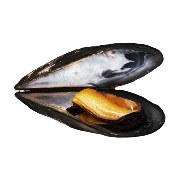 Мидия Черноморская Живая