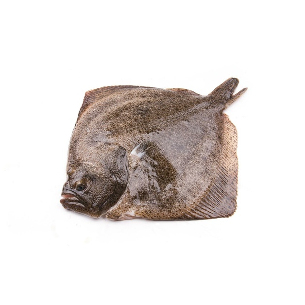 Тюрбо Целая Непотрошеная Сыромороженая 2-4кг