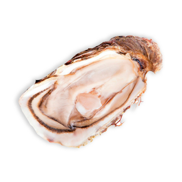 Устрицы «Фин де Клер»