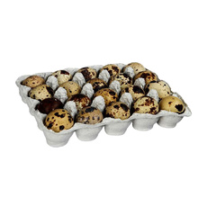 Яйцо Перепелиное 20шт