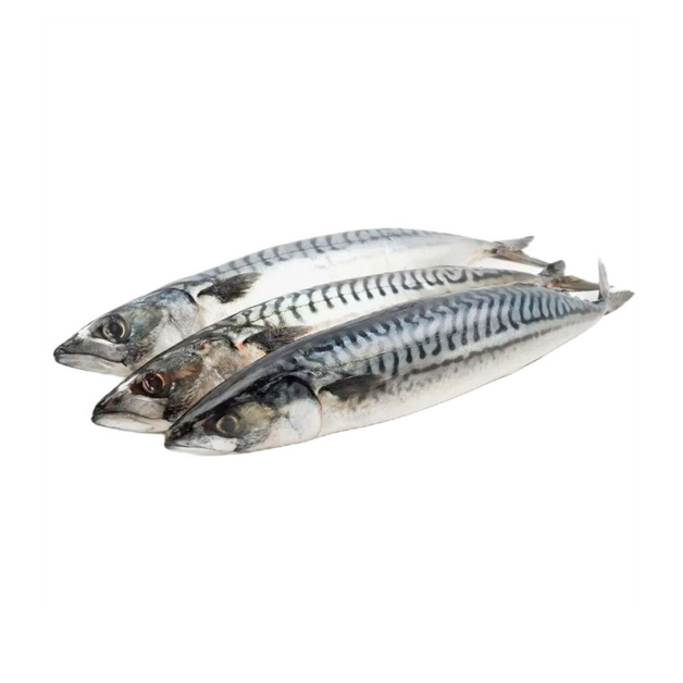 Скумбрия Неразделанная Замороженная 400-600 10кг