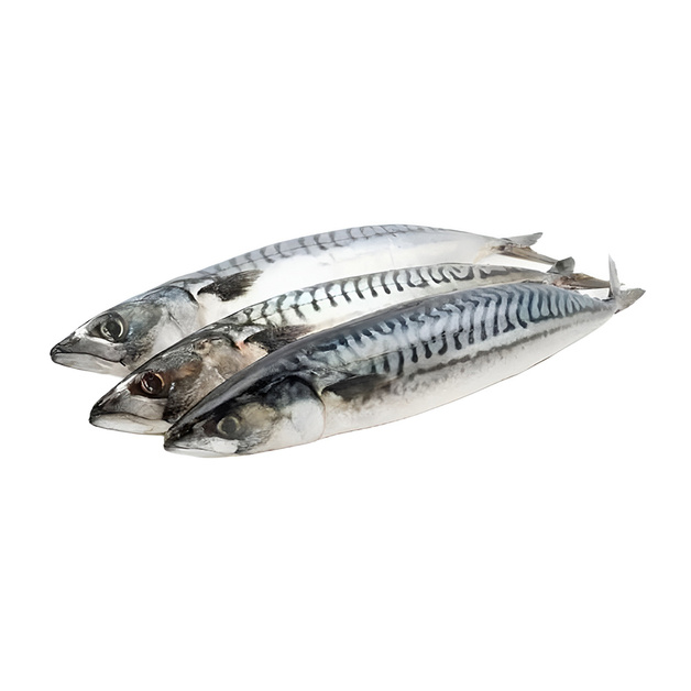 Скумбрия Неразделанная Замороженная 200- 400г 12кг