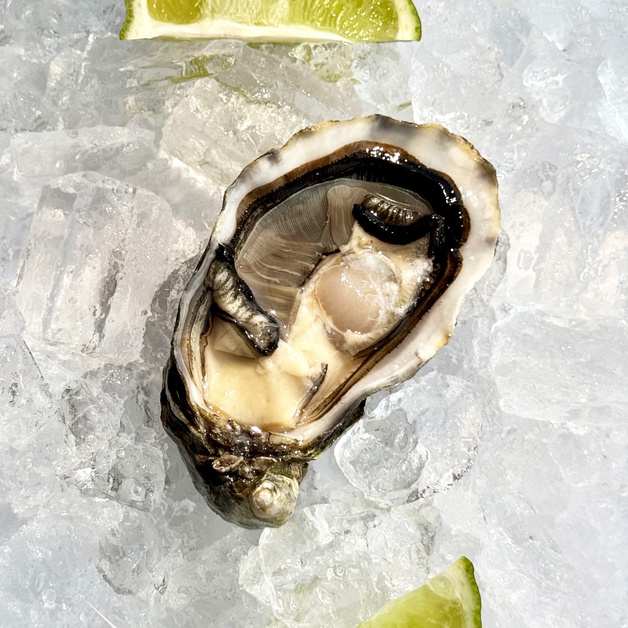 Устрица Шалле №3