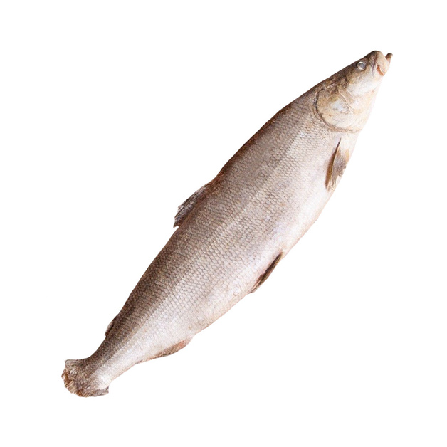 Нельма Непотрошеная Замороженная 1-3кг