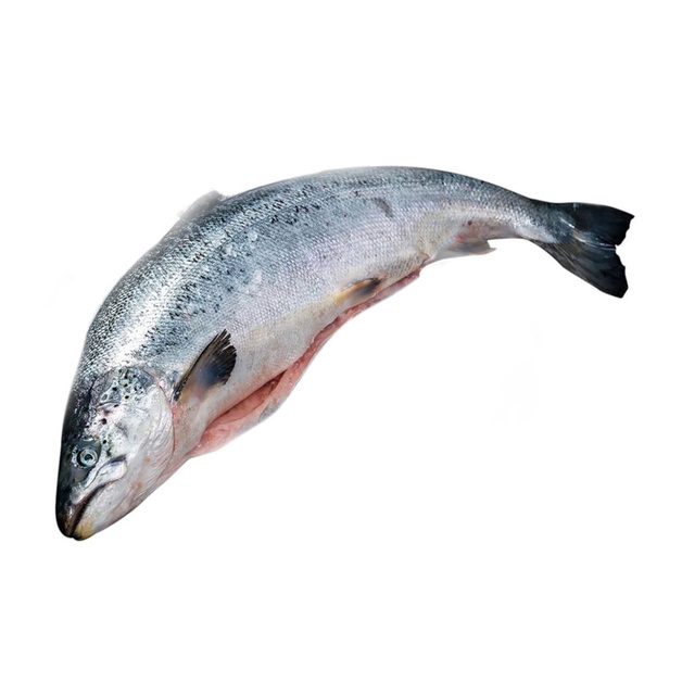 Горбуша Потрошеная Без Головы Замороженная 20-22кг