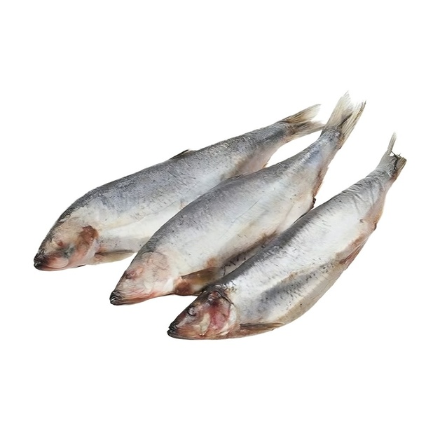 Сельдь Непотрошеная Замороженная 300-400г 20кг