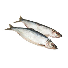 Сельдь тихоокеанская «Рыбное Дело» - 4 кг