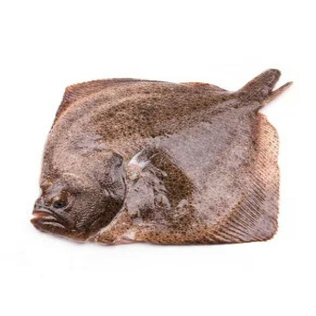 Тюрбо Целая Непотрошеная Сыромороженая 2-4кг