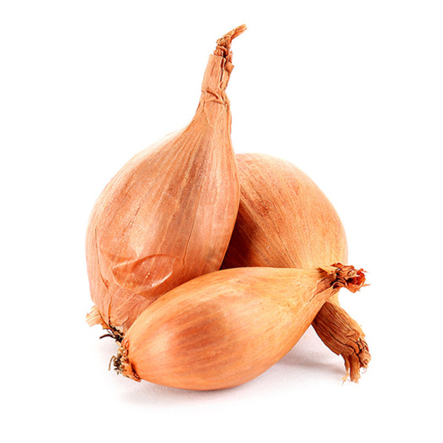 Лук Шалот кг