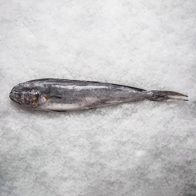 Махи-Махи Непотрошеная Свежемороженая 2-4кг