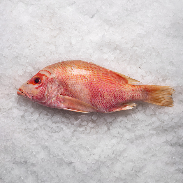 Луциан Красный Целый Непотрошеный Свежемороженый 2-4кг