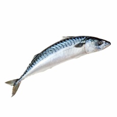 Скумбрия Неразделанная с Головой Замороженная