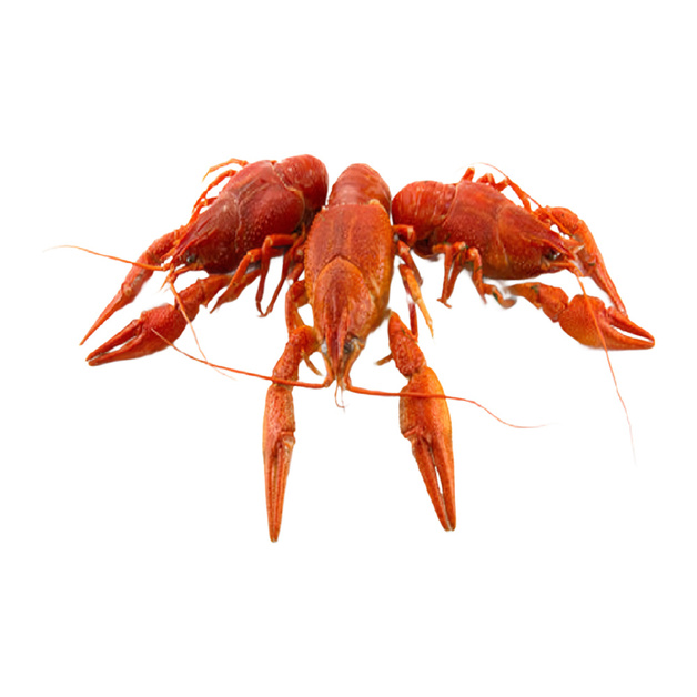 Раки Целые в Панцире Варено-Мороженые 22/33