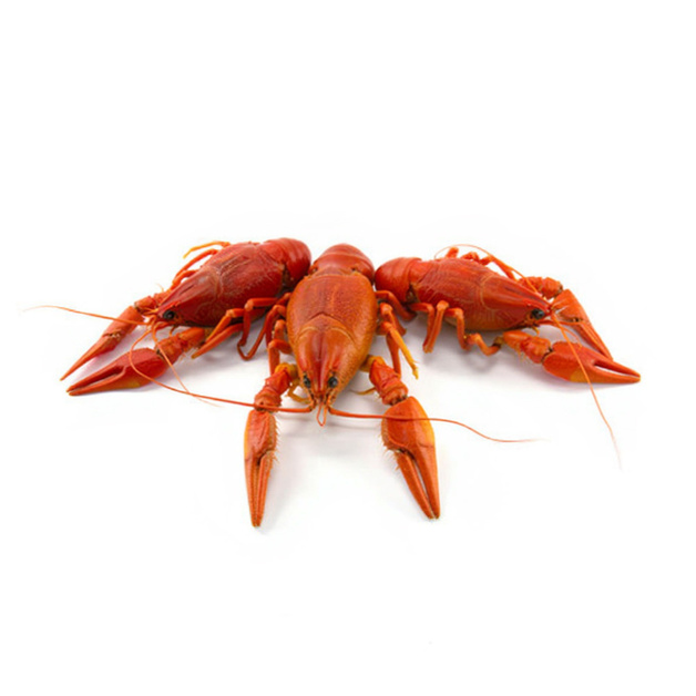 Раки Целые в Панцире Варено-Мороженые 35/48