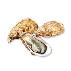 Устрица Фин Де Клер №3