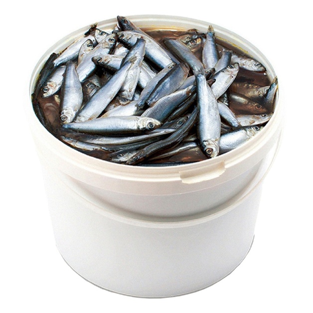 Килька с/с в пряной заливке «Рыбное дело» - 4 кг