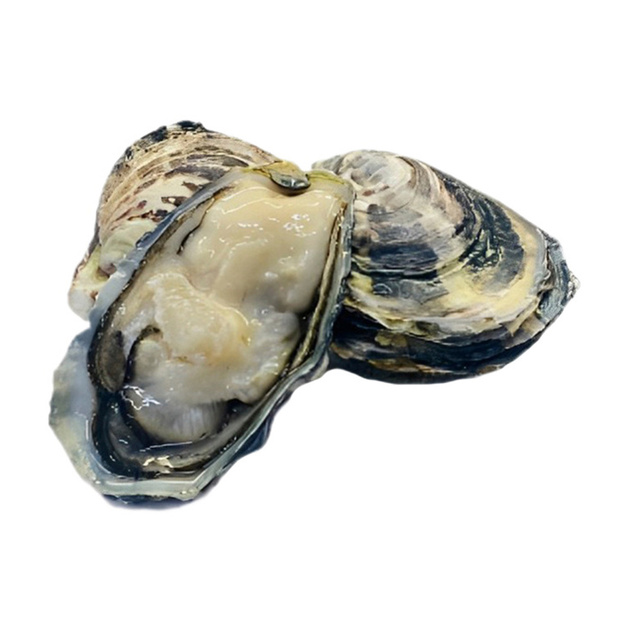 Устрица Моана 60-75г